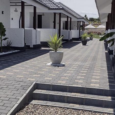 Bungalow Terra Kordu Băile Felix 外观 照片