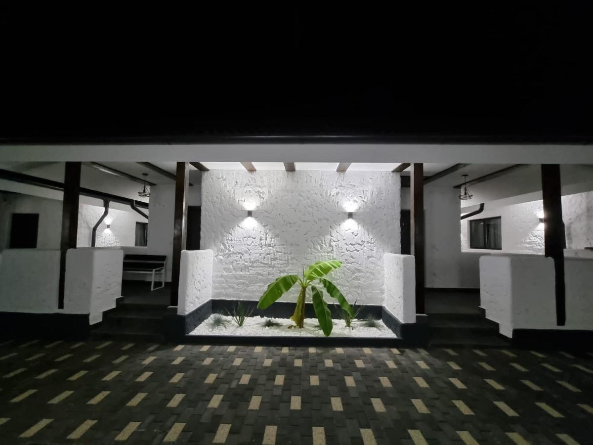Bungalow Terra Kordu Băile Felix 外观 照片