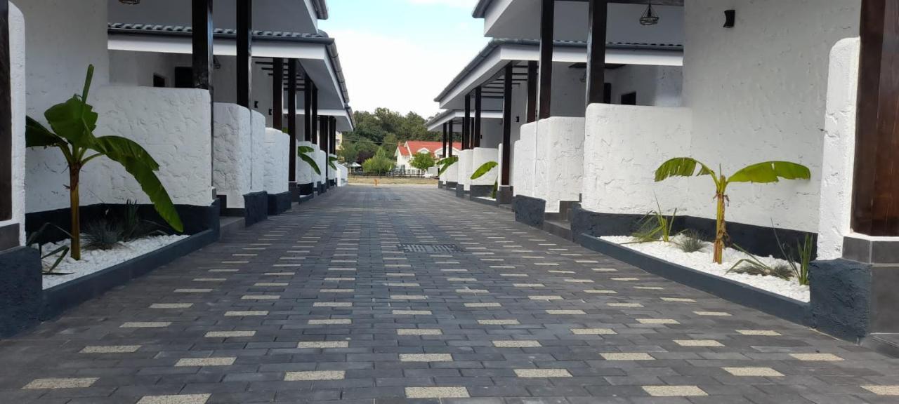 Bungalow Terra Kordu Băile Felix 外观 照片