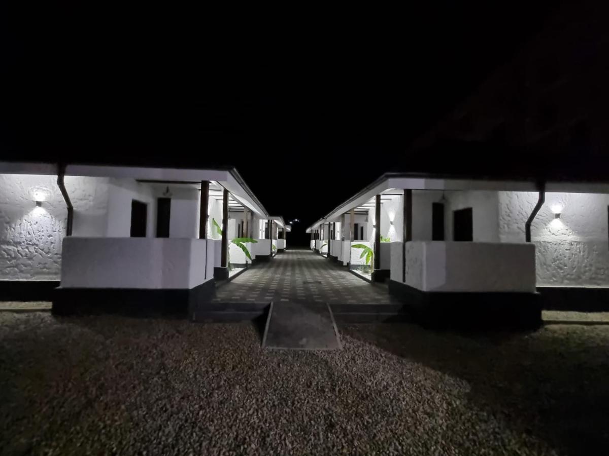 Bungalow Terra Kordu Băile Felix 外观 照片