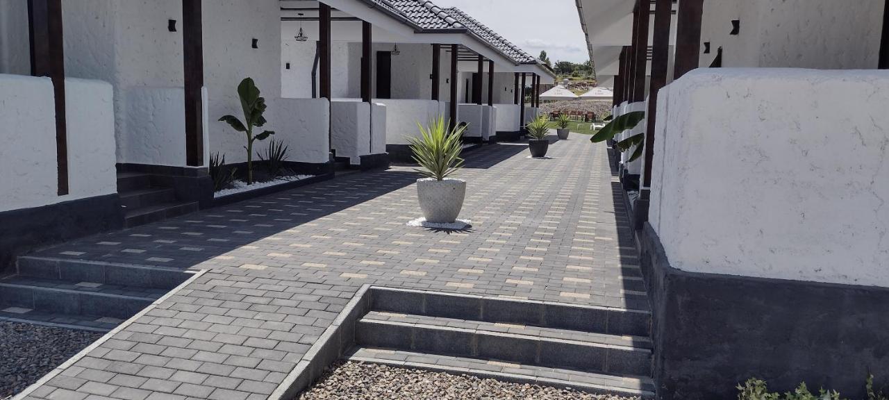 Bungalow Terra Kordu Băile Felix 外观 照片