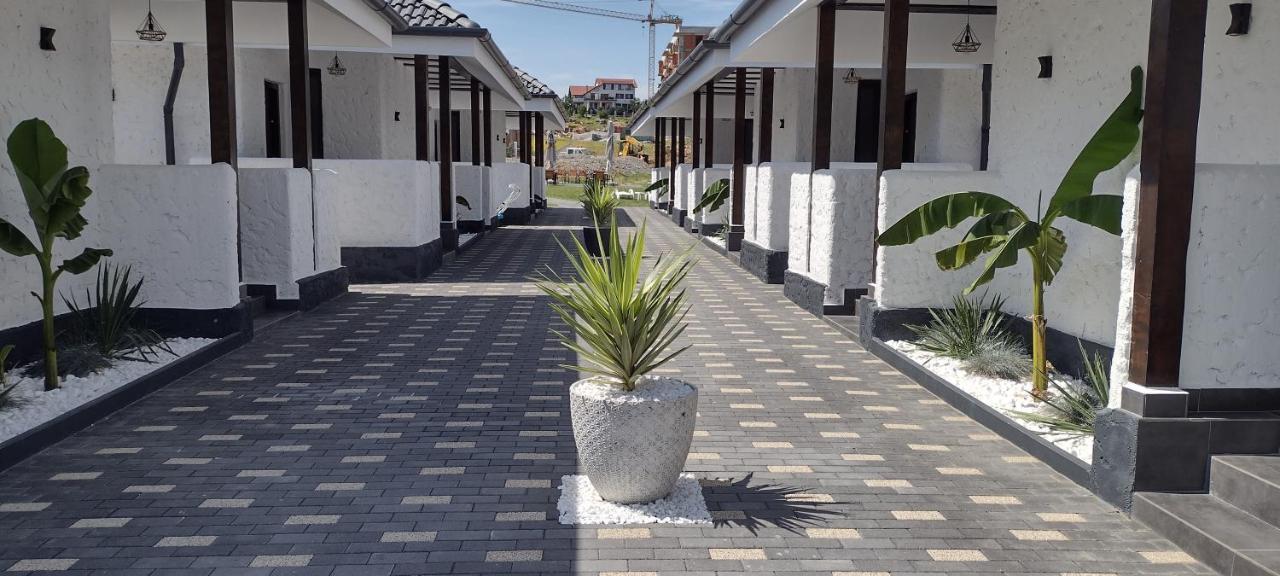 Bungalow Terra Kordu Băile Felix 外观 照片
